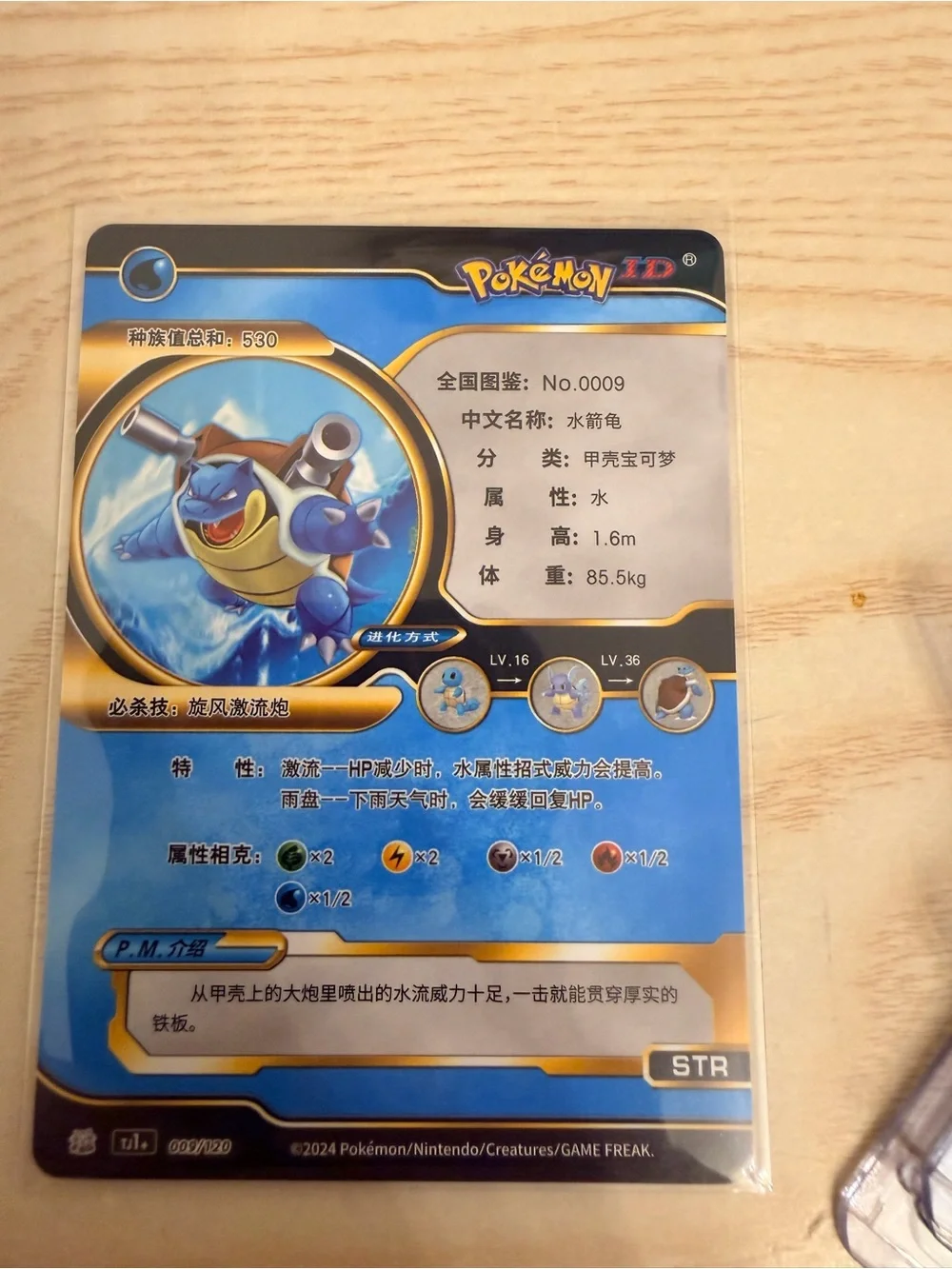 Pokémon Blastoise Gold Rare Chinese ID Card